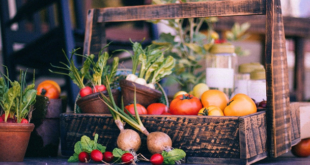 Tout savoir sur la vente de fruits et légumes en ligne