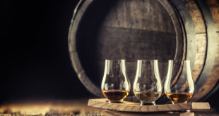 Quelles différences entre le rhum agricole et le rhum de mélasse